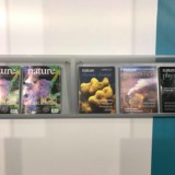 Springer Nature verschiebt Börsengang