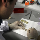 Schweizer Biotech-Branche ist gewachsen