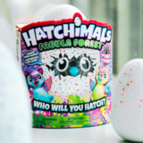 Hot Corner: Erfolgreiche Kuschelwesen