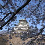 Japans Exporte steigen stärker als erwartet