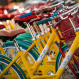 «Alphabet und Facebook sind schockierend günstig»