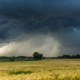 IfW senkt Wachstumsprognose für deutsche Wirtschaft