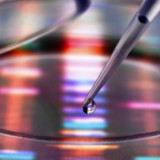 Konkurrent Merck & Co eilt Roche davon