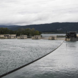 Wasserkraftproduzenten wollen Bundesmillionen
