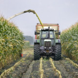 Schutzobjekt Landwirtschaft