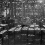 Georg Fischer: Mit eisernem Willen