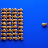 Gegen die herrschende Meinung