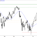 SMI: Spielraum ausgereizt