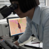 Molecular Partners erhöht Kostenprognose