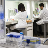 Basilea tauchen nach Refinanzierungsplänen ab