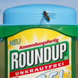 Glyphosat-Urteil verschreckt Bayer-Anleger