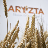 Das sagen Analysten und Fondsmanager zu Aryzta