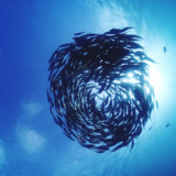 Einmütigen Anlegern droht böses Erwachen