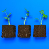 Früh investieren lohnt sich