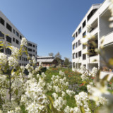 Neubewertung lässt Zug Estates weniger verdienen