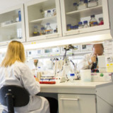 Börse straft Molecular brutal ab