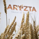 Aryzta steht heisser Herbst bevor