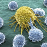 Manipulierte Gene bekämpfen den Krebs