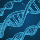 HBM erzielt Gewinnsprung