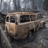 Forstbrände stellen Versicherer auf Probe