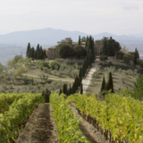 Zu Gast bei Marchesa Frescobaldi