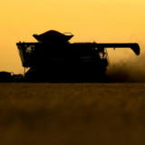 Der Feind, die Maschine