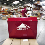 Ceva prüft strategische Finanzierungsoptionen