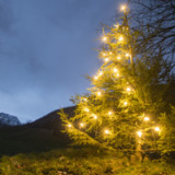 Wo über die Festtage gehandelt wird