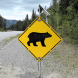 Die Gefahr eines Bärenmarktes nimmt zu