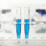 Novartis und Roche im Jahr der Bewährung