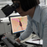 Molecular Partners sieht Wirksamkeit von Covid-19-Therapie