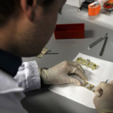 Merck und Glaxo bündeln Kräfte