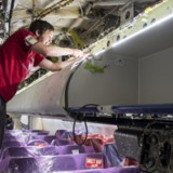 HNA soll Verkauf von SR Technics prüfen