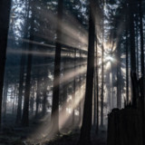 Der Januar macht den miesen Dezember fast wett