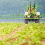 Rückschlag für Bayer in wichtigem US-Glyphosat-Prozess