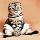 Hot Corner: Alles für die Katz