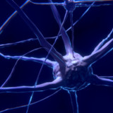 Newron erwartet 2019 Pipeline-Fortschritte