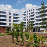 Plazza erwartet eine erneute Steigerung