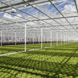 Der Markt für Green Bonds muss noch reifen