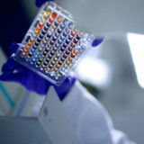 Santhera verbessert Liquiditätslage