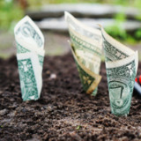 «Europa braucht einen Fiskalstimulus»