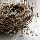 Wo Anleger noch ein wenig Zins finden