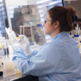 Polyphor-CEO sieht nach Studienunterbruch drei Alternativen