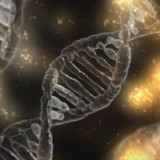 Molecular Partners stärkt Cashposition