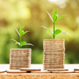 Weshalb und wie nachhaltig anlegen?