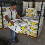 Trumps Mauer aus Strafzöllen