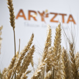 Aryzta gibt Zweitkotierung in Dublin auf