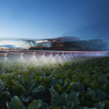 Corteva übertrifft Syngenta