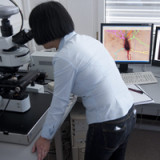 Molecular nimmt nach Corona weitere Viren in Angriff