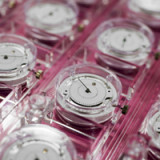 Uhrenexporte legen trotz Unruhen in Hongkong zu